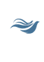 Волосся.net логотип